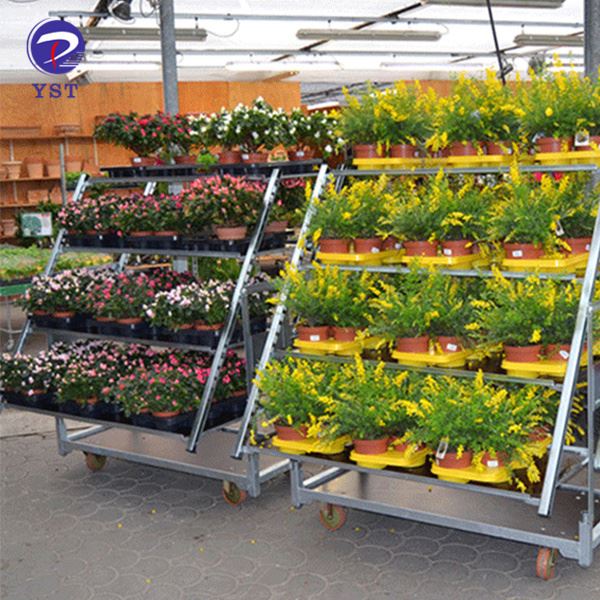 Indoor Plant Cart with Wheels