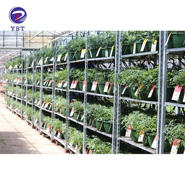 Greenhouse Transport Metal Flower Trolley Cart