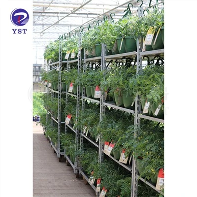 Plant školka vozíky
