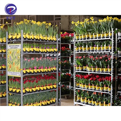 Plant Transprotation Rolling Metal Cars