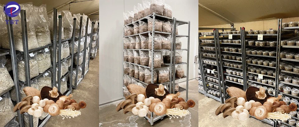 Mushroom Growing Racks-2 Mushroom Growing Racks-2